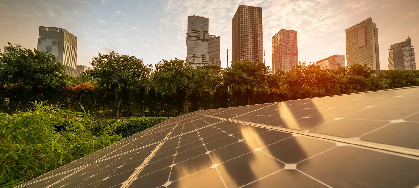 an image of solar panels for our renewable energy salary guide 2025