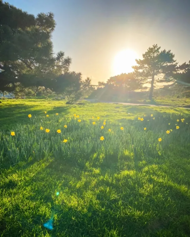 Every 2nd Friday off fully paid. 

Here's what Holly did with hers.

Daffodils at Southsea. A swan that clearly had no fear. The Book of Mormon at the theatre. And somehow, Chinatown in London too.

That's the 9 Day Fortnight. 

Every other Friday, you get your time back to use however you want. Whether that's a day out, a slow morning, or even fitting two cities into one day off.

Not a bad way to spend a Friday.

#astute #lifeatastute #9dayfortnight #worklifebalance #teamastute portsmouth southsea